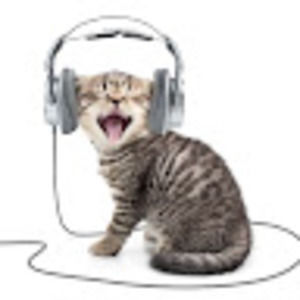 Meet your Posher, Hhh